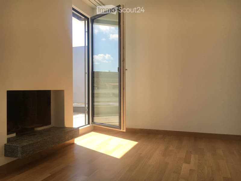 Empty room with wooden flooring, large glass sliding doors leading to a balcony, and a fireplace on the left side.