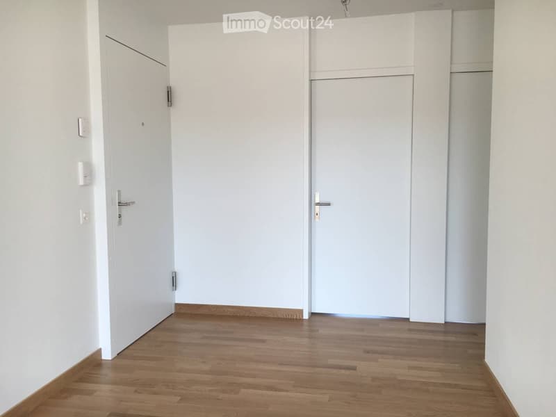 Empty hallway with light wooden flooring and white walls, featuring two closed doors and light switches on the left wall.