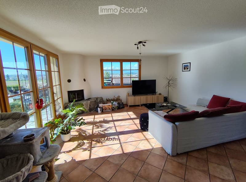 Bright living room with large windows offering a scenic view, featuring a grey sofa, coffee table, television, fireplace, and a cat tree.