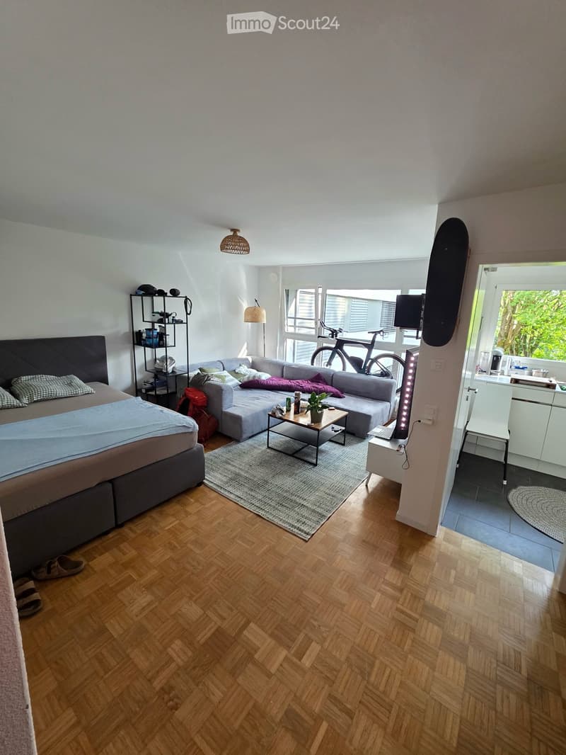 Wohnung in Winterthur (2)