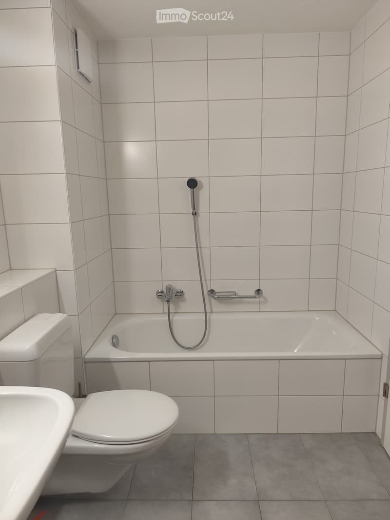 Modern bathroom with white tiled walls and grey tiled floor, featuring a bathtub with a handheld showerhead, a toilet, and a handrail next to the tub.