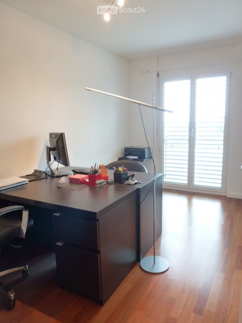 Modern office space with a large wooden desk, ergonomic chair, computer monitor, printer, floor lamp, and various office supplies.