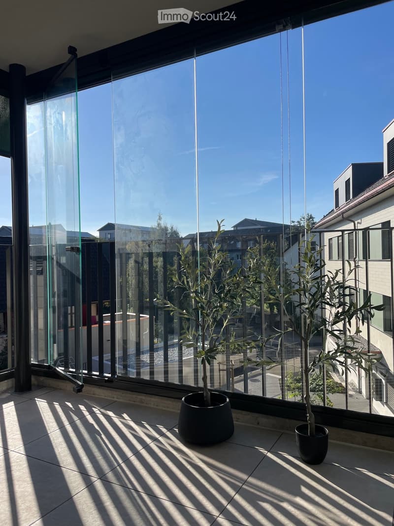 Modern balcony with large glass windows, tiled floor, and two potted plants, offering a view of the surrounding area.