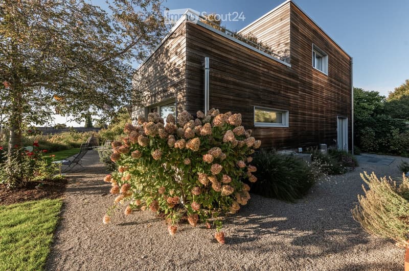 Modern wooden house with a flat roof and large windows, surrounded by a well-maintained garden with gravel pathways, flowering shrubs, and outdoor seating.