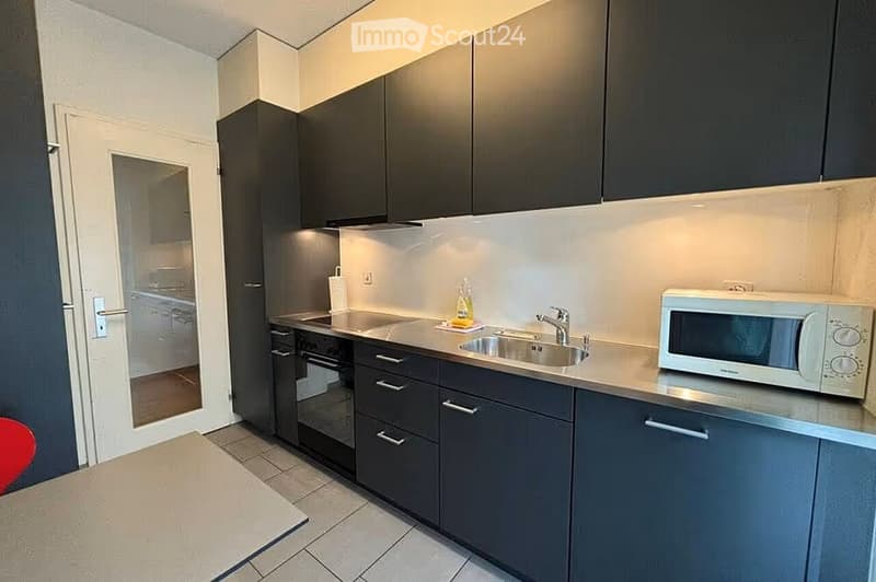 Modern kitchen with dark grey cabinets, stainless steel sink, microwave, and built-in oven. The space features a sleek, contemporary design with a clean, minimalist aesthetic.