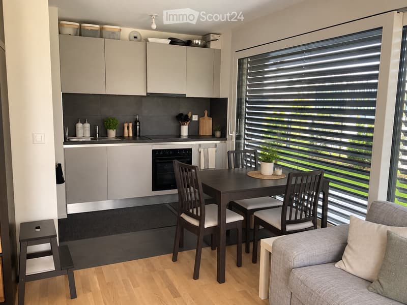 Modern, open-plan living and dining area with grey sofa, dining table with chairs, kitchen cabinets, and appliances.