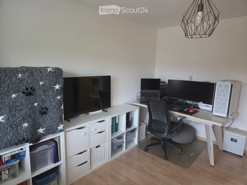 A modern, well-organized home office with a wooden floor, a large desk with a laptop and dual monitors, a comfortable office chair, a storage unit with drawers and shelves, and a shaggy rug on the wall.