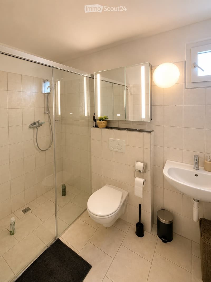 Modern bathroom with a glass-enclosed shower, toilet, sink, and a large illuminated mirror. Includes a small plant on the counter, a trash bin, and a toilet paper holder.
