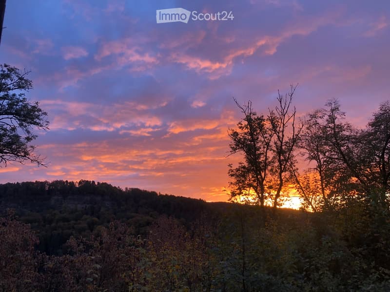 A scenic view of a sunset over a forested landscape, with trees silhouetted against a colorful sky.