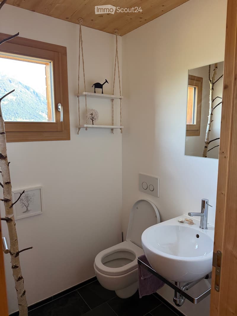 Modern bathroom with a toilet, sink, mirror, shelves, and a framed picture. The room features a view of mountains through a window.