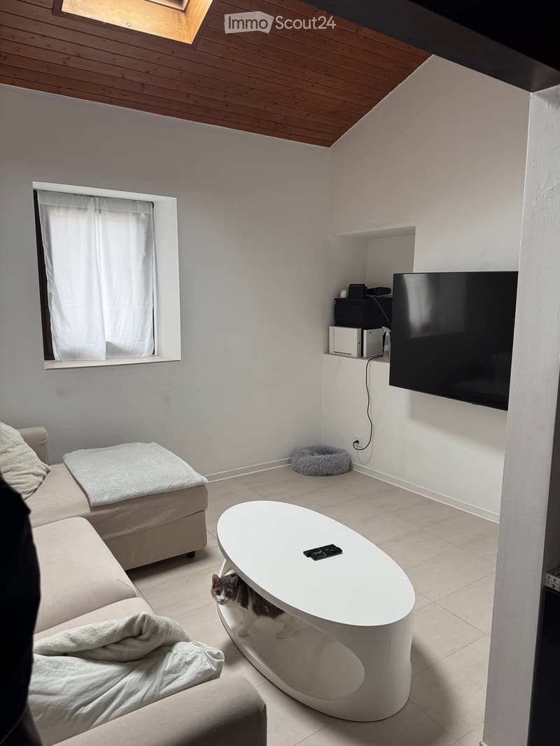 A modern, compact living space with a sofa, a round coffee table, a cat, a cat bed, and a television mounted on the wall.