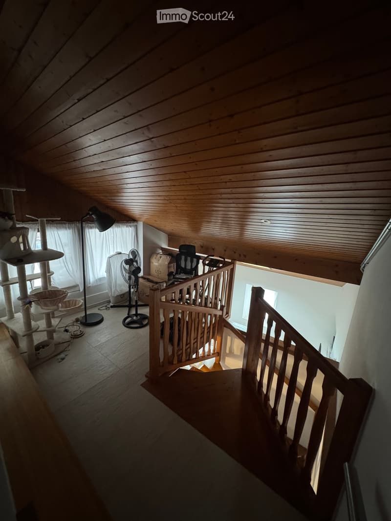 Loft-style room with wooden ceiling and floor, featuring a cat tree, fan, chair, and table lamp.