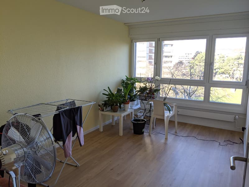 A small, unfurnished room with wooden flooring, large windows, a fan, a small table with plants, a chair, and a clothes drying rack.