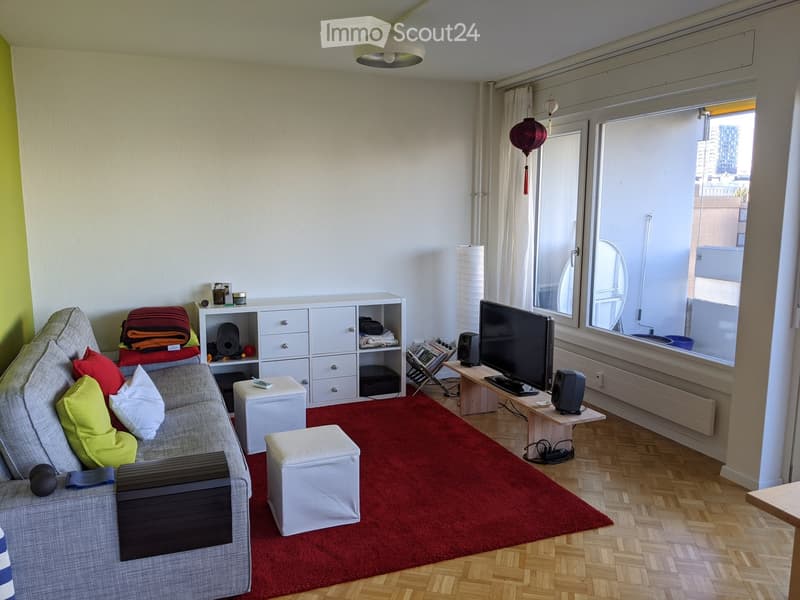 A modern living room with a grey sofa, colorful cushions, a red carpet, a white storage unit, a TV on a wooden stand, and a large window with a view of the city.