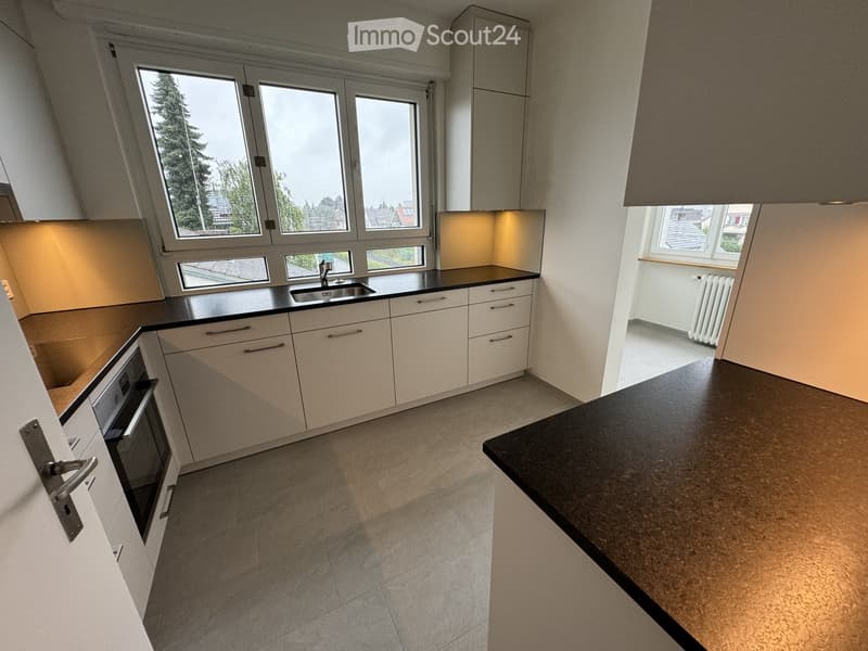 Modern kitchen with white cabinets, black countertops, stainless steel sink, and built-in oven. Large windows provide natural light.