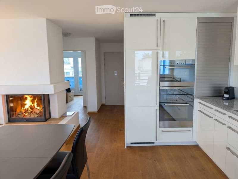 Modern kitchen with white cabinets, stainless steel appliances, a built-in oven, and a fireplace in the adjacent living area. The space features a wooden floor and a dining table with chairs.
