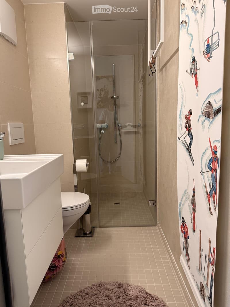 Modern bathroom with a glass-enclosed shower, toilet, sink, and decorative rug. The walls feature a ski-themed mural.