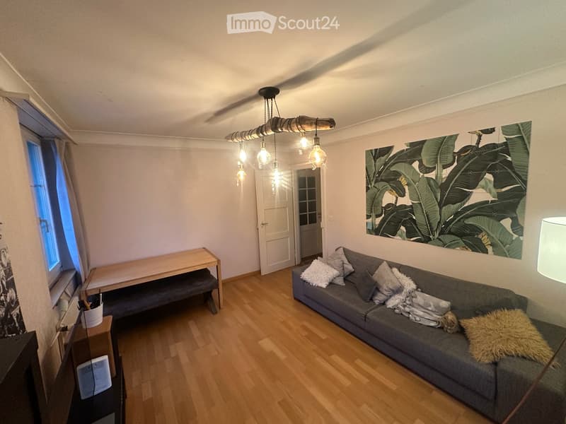 2.5 Zimmer Wohnung in Alt Münchenstein (1)