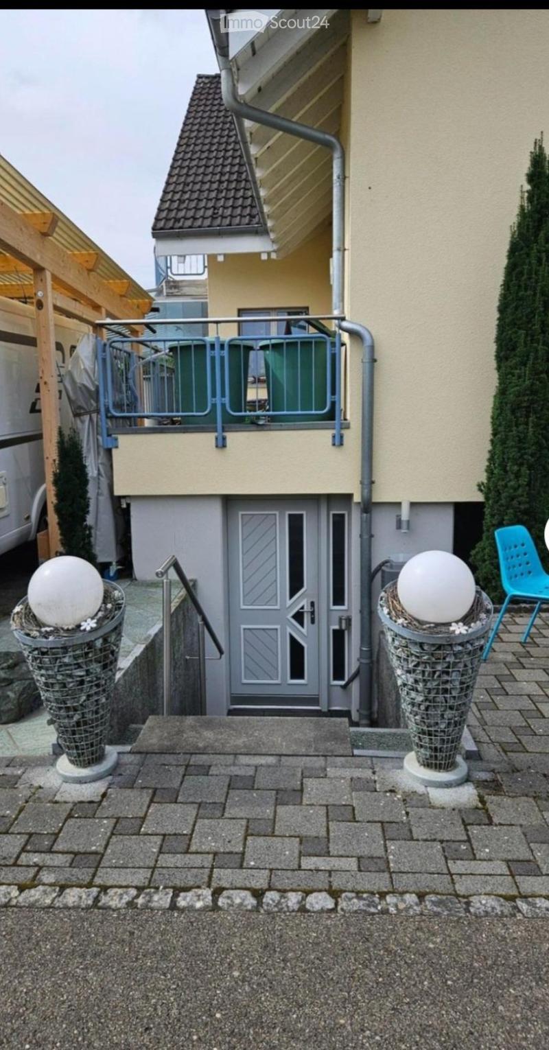 Entrance area with a gray front door, metal railing, decorative spherical planters, and a small staircase leading up to the building.