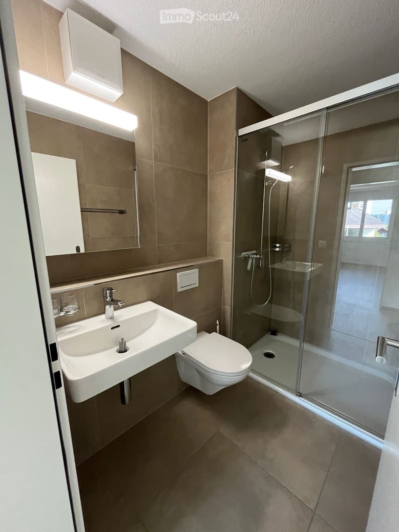 Modern bathroom with a white sink, toilet, glass-enclosed shower, and a large mirror above the sink.