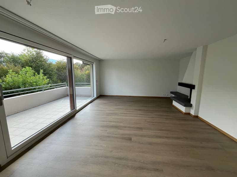 Empty room with wooden flooring, large sliding glass door leading to a balcony, and a small built-in shelf unit.