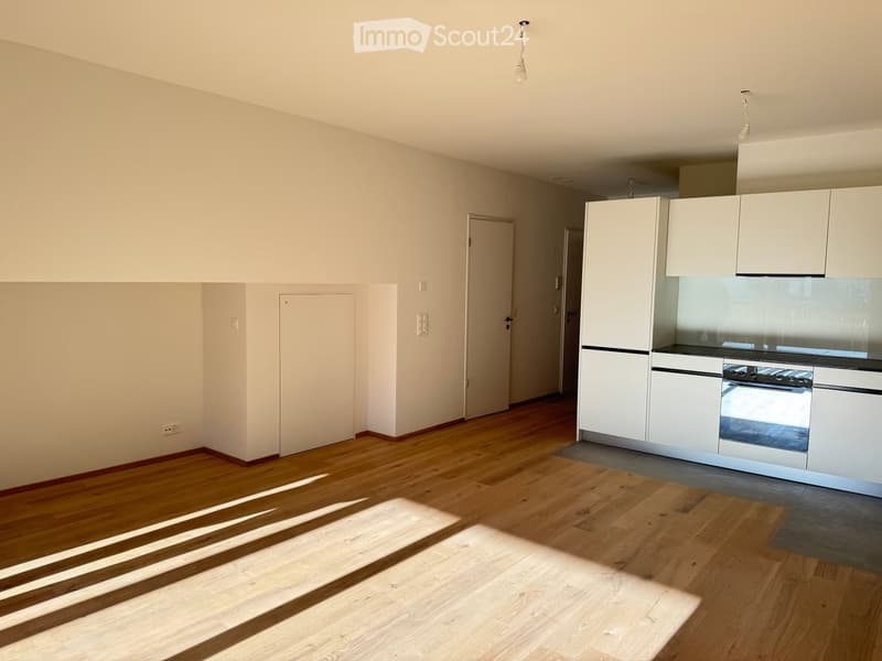 Empty room with light-colored walls, wooden flooring, and white cabinetry in the corner. No furniture or appliances are present.