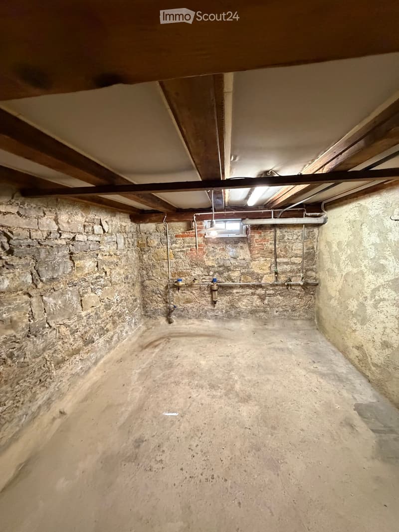 Empty basement with exposed brick walls, concrete floor, exposed wooden beams, and minimal lighting.