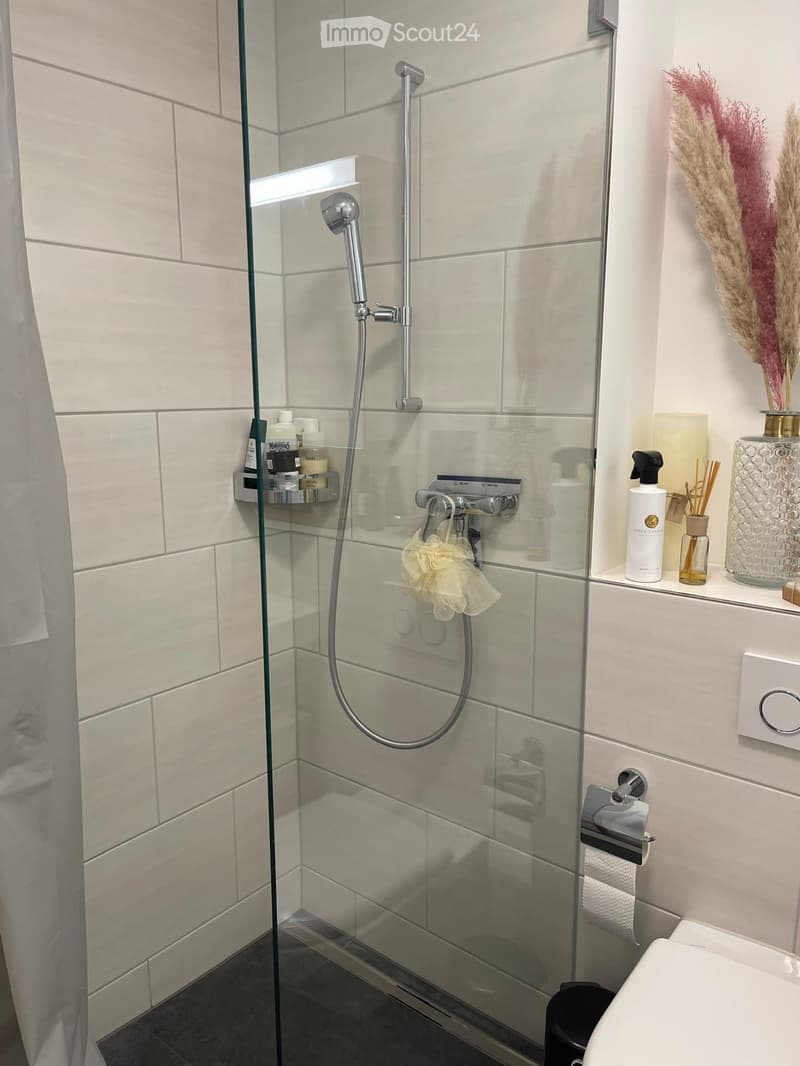 Modern bathroom with a glass-enclosed shower, a toilet, and a shelf with toiletries and decorative items.