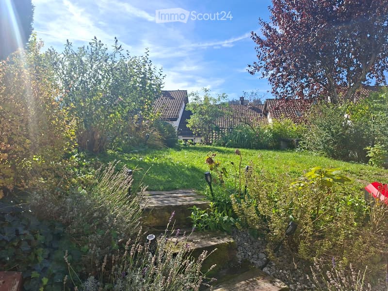 Well-maintained garden with a stone pathway, various plants, shrubs, and trees, with houses visible in the background under a clear blue sky.