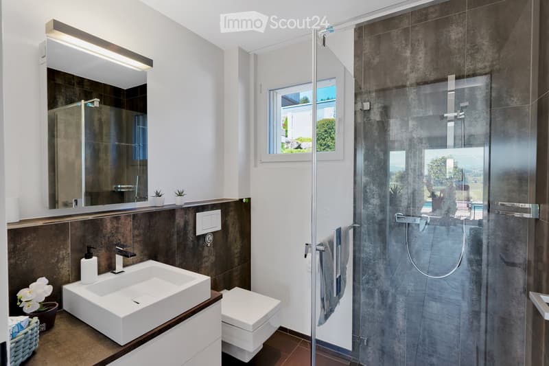 Modern bathroom with a white sink, toilet, large mirror, and a glass-enclosed shower. The space features dark brown tiles and a window offering a view of greenery.