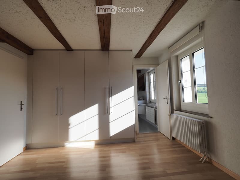 Empty room with wooden flooring, white walls, large window, radiator, and a closet. Sunlight streams in from the window, casting shadows on the floor.