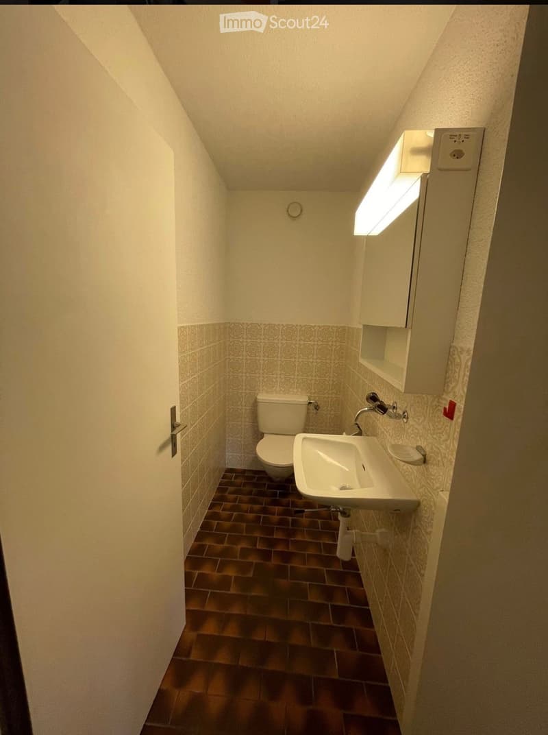 Small bathroom with a toilet, sink, and mirror. The walls are tiled with a patterned design, and the floor is made of dark brown tiles.