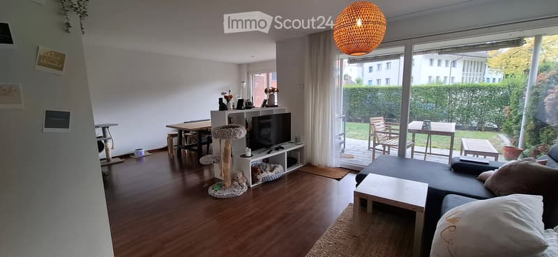 Modern living room with wooden flooring, large windows, a sofa, coffee table, cat tree, dining area, and a view of a garden.