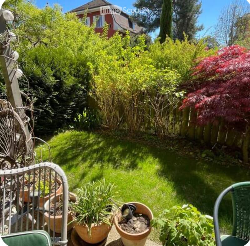 A well-maintained garden with a variety of plants, shrubs, and trees, including a red-leaved maple and several potted plants. The garden features a green lawn and a wooden fence in the background.