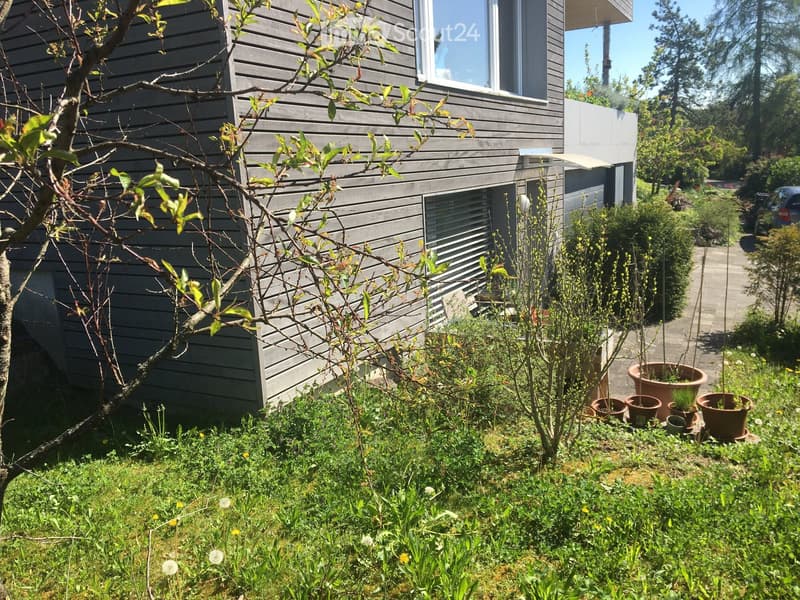 Modern house, grey wood exterior, large window, multiple pots, greenery