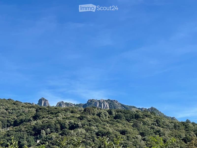 A lush, green forested mountain range with rocky peaks under a clear blue sky.