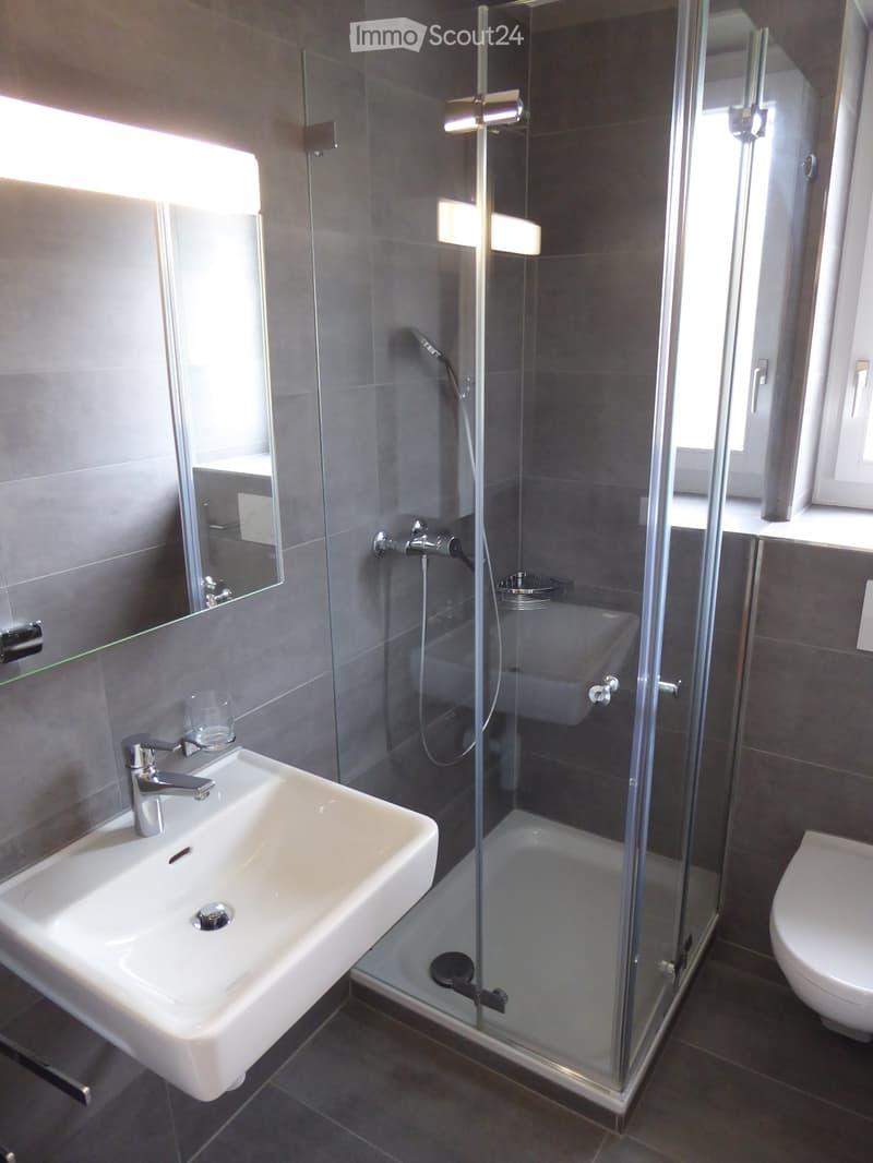 Modern bathroom with a white sink, chrome faucet, glass-enclosed shower, and a toilet. The walls are tiled in gray, and the shower has a handheld sprayer.