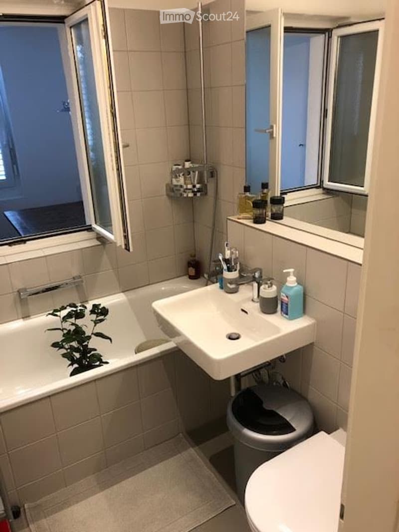 Modern bathroom with a bathtub, sink, toilet, and mirror. The sink has a faucet, soap dispenser, and toothbrush holder. A small plant is placed in the bathtub, and a trash bin is near the toilet.