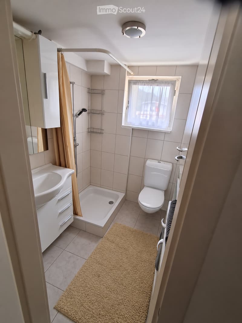 A compact bathroom with a white toilet, sink, bathtub, and a small window with a shower curtain. Includes a mirror, towel rack, and a beige bathroom rug.