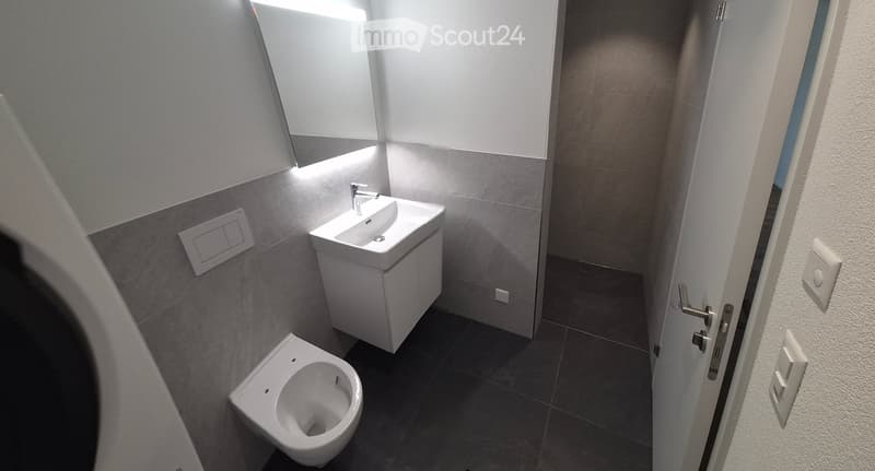 Modern bathroom with a white sink, chrome faucet, mirror, and toilet. Grey tiled walls and dark tiled floor.