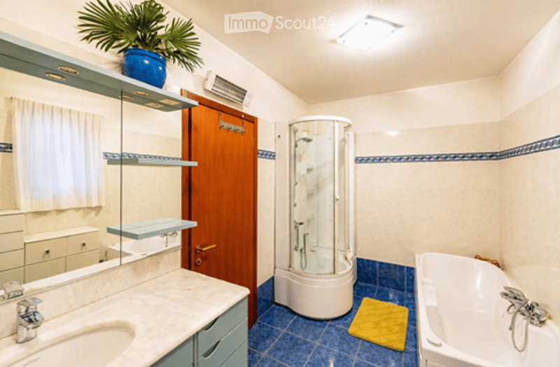 Modern bathroom with a white tiled shower stall, a bathtub, a sink with a mirror, and a small plant on a shelf above the sink.