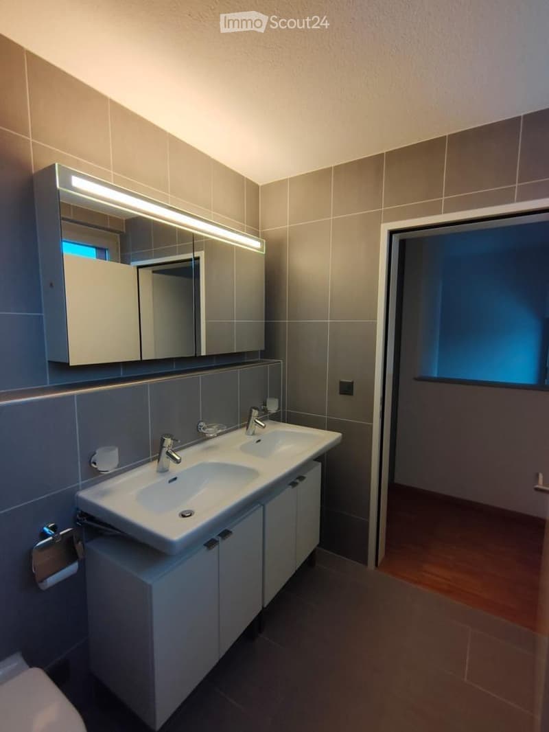 Modern bathroom with double sink, large mirror, and built-in cabinets.