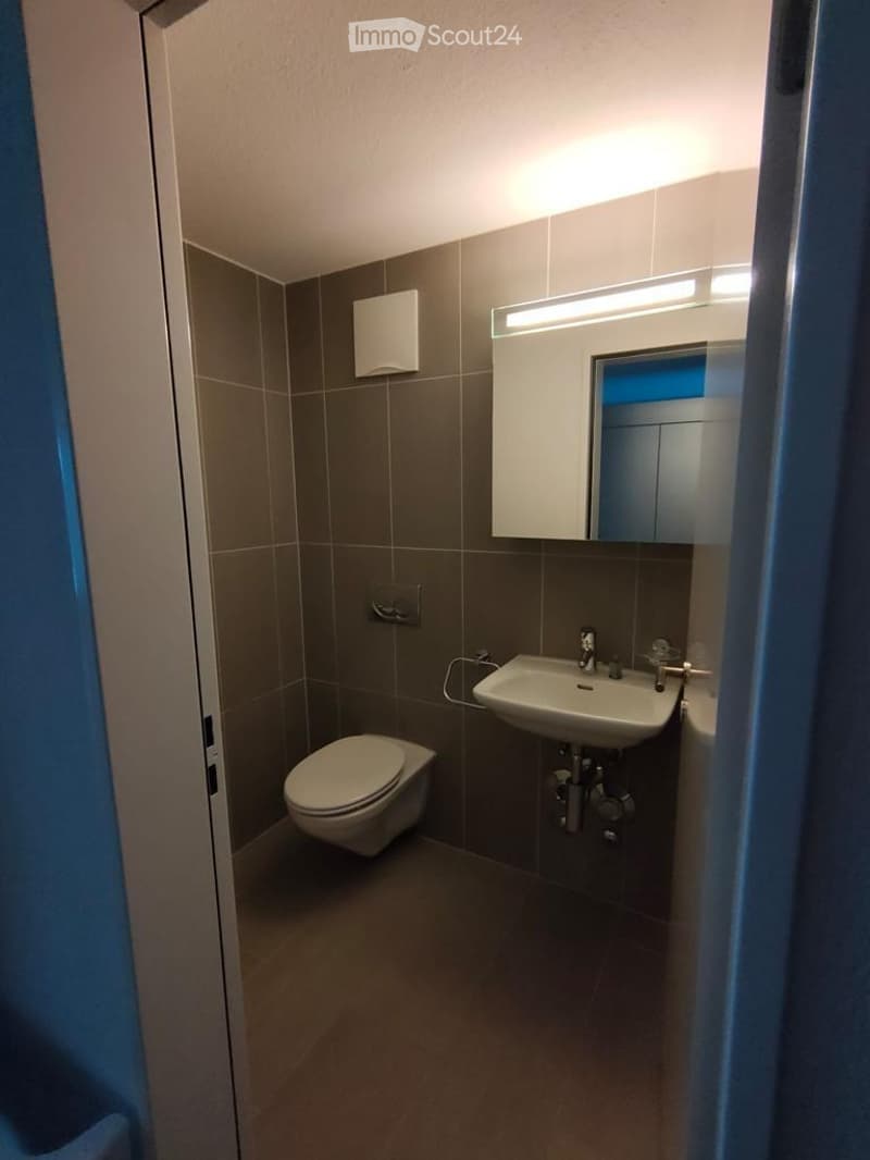 Modern bathroom with a toilet, sink, mirror, and light fixture. The walls are tiled in a neutral color, and the floor is covered with dark tiles.