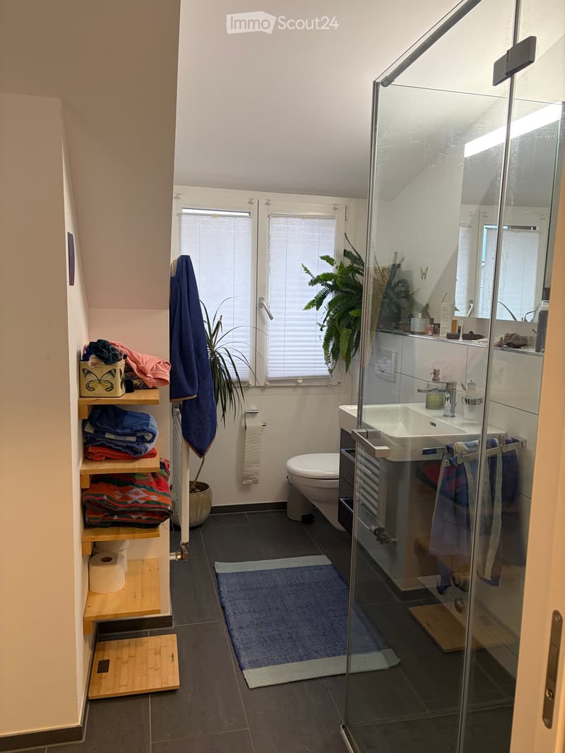 Modern bathroom with dark tiled floor, white walls, and a glass-enclosed shower. Features a toilet, sink with mirror, towel rack, and a small shelf with folded towels and a plant.