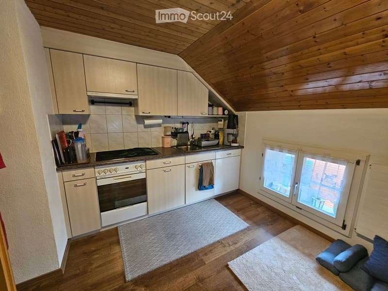 {"type": "Furnished Room", "objects": ["sofa", "oven", "fridge", "sink", "cupboard", "coffee maker", "oven", "fridge", "cupboard", "sink", "faucet", "towel", "oven", "cupboard", "cupboard", "cupboard", "cupboard", "cupboard", "cupboard", "cupboard", "cupb