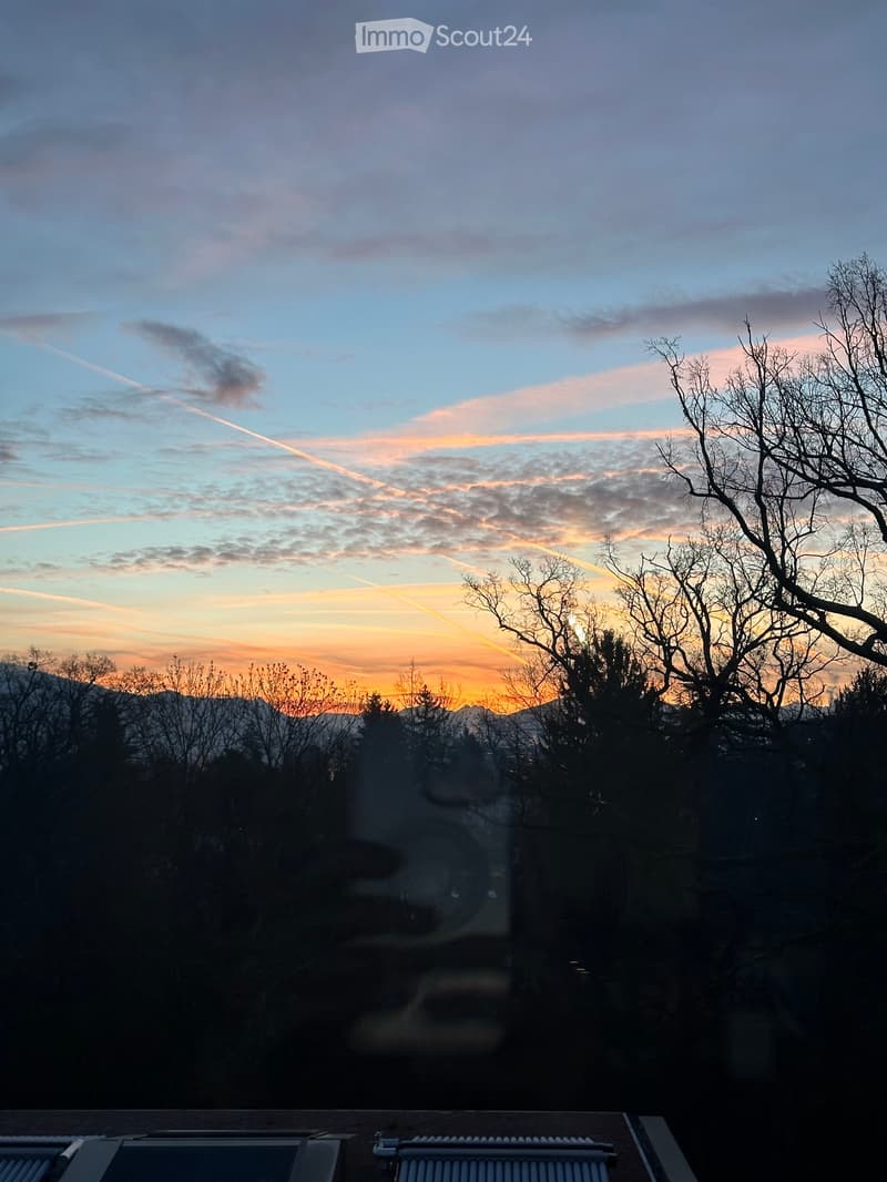 View from a balcony or terrace showing a sunset sky with colorful clouds, silhouettes of bare trees, and distant hills.