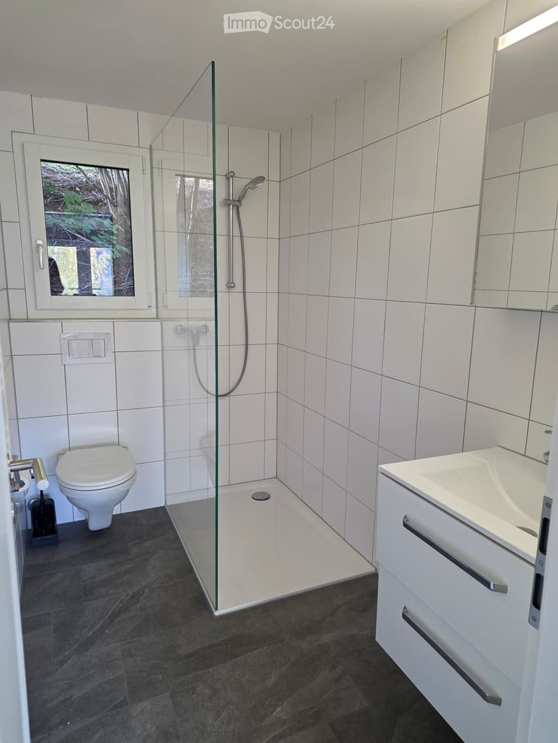 Modern bathroom with white tiles, a glass-enclosed shower, a toilet, a sink with a cabinet, and a large mirror.