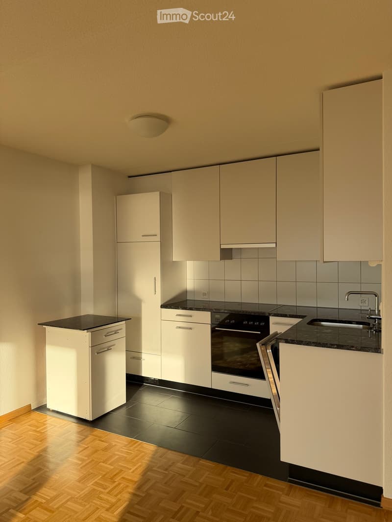 Modern kitchen with white cabinets, black countertops, and a stainless steel oven. Features a wooden floor and a small refrigerator.