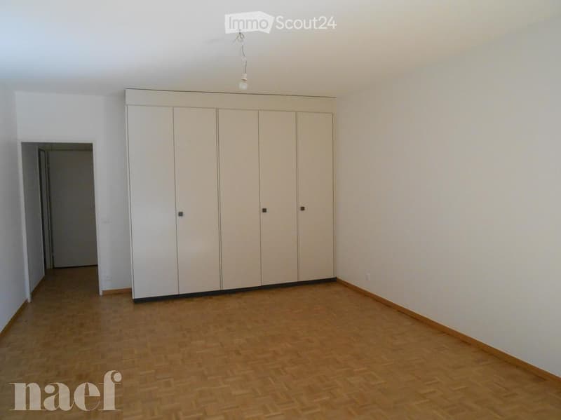 Empty room with light-colored walls, wooden flooring, and a large built-in wardrobe unit.