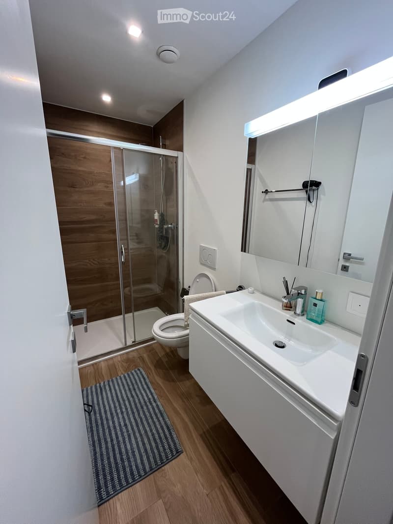 Modern bathroom with wooden flooring, white walls, a glass-enclosed shower, a white sink with a mirror, and a toilet.